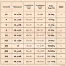 Calcinha Absorvente Protetora para Incontinência CarePlus® [Leve 5 Pague 4 + Frete Grátis]