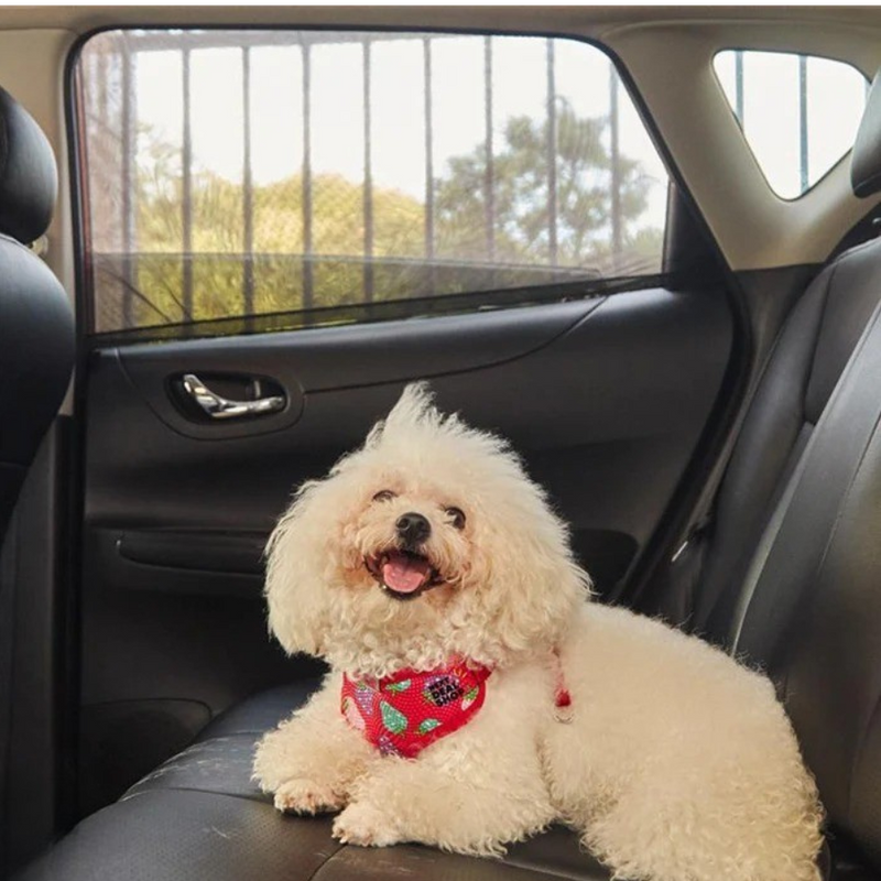 Kit 2x Cortinas Protetoras de Janelas Laterais para Carros de Fácil Instalação