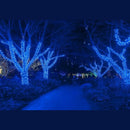 Pisca-pisca Azul cordão de Led