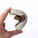 Sapatinho Meia Baby Safari - Antiderrapante, confortável e respirável