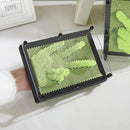 Captador de imagens Atividade Sensorial Pinart 3D