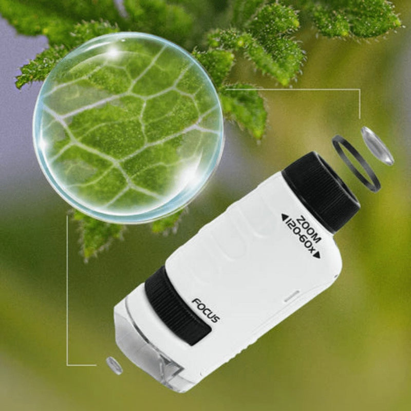 Microscópio Portátil de Mão para Crianças Focus Brincadeira Educativa