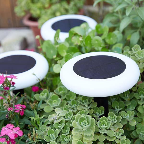 Lâmpada de Mudança de Cor com Energia Solar para Jardim