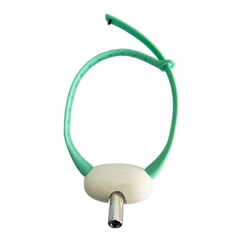 Brinquedo Interativo para Gatos LASER CAT - Colar Ajustável com Laser recarregável - Inov&tec