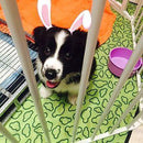 Forro para Carga de Animais de Estimação em Veículos (3 Cores)