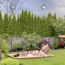 Cama Rede de Janela para Gatos - CozyCat Haven Bed