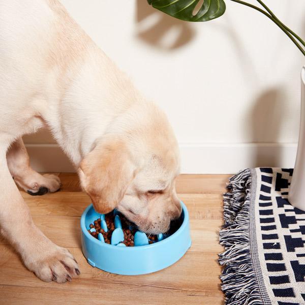 Tigela de Comida para Animais Antiengasgo