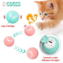 Pet ZOOM - Bolinha elétrica automática que se move sozinha, interativa, para Gatos e Cachorros Pequenos - Inov&tec