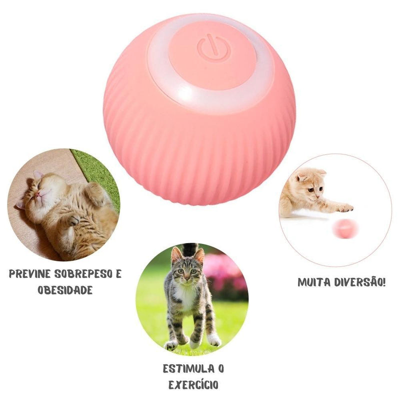 Pet ZOOM - Bolinha elétrica automática que se move sozinha, interativa, para Gatos e Cachorros Pequenos - Inov&tec