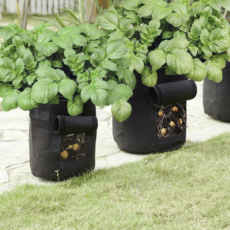 Saco Pote de Planta Ecológico