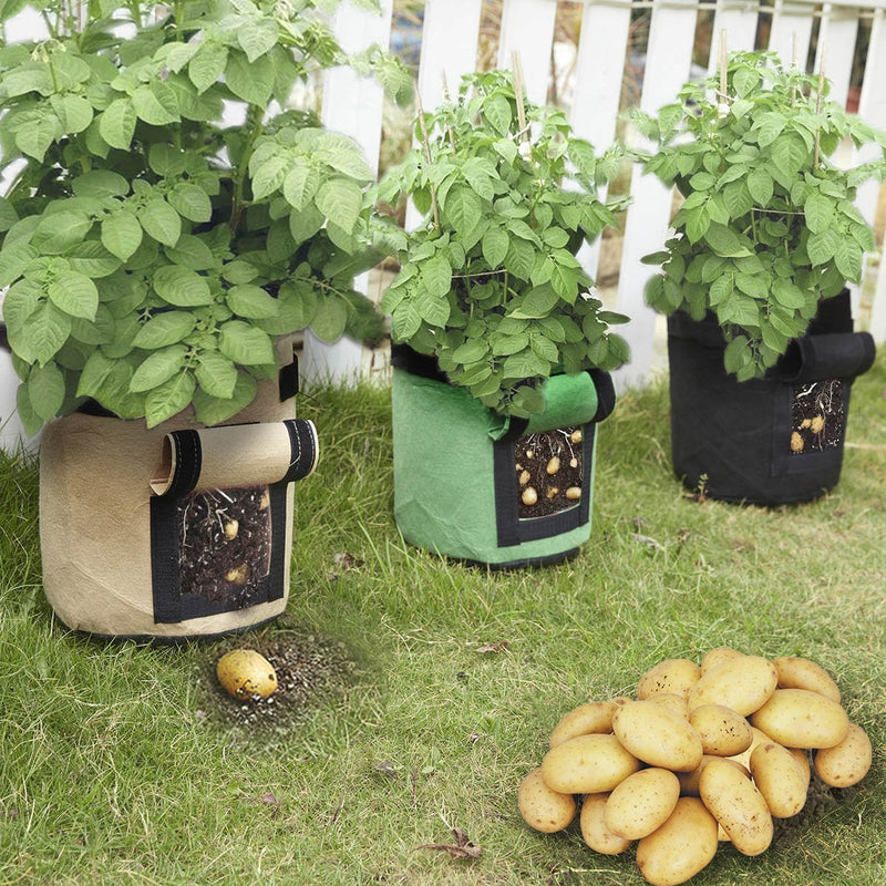 Saco Pote de Planta Ecológico