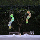 Luzes Dente-de-Leão à Energia Solar