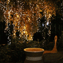 Luzes Pisca-Pisca LED Movidas à Energia Solar