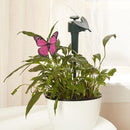 Decoração de Jardim Giratória Movida à Energia Solar Borboleta e Pássaro