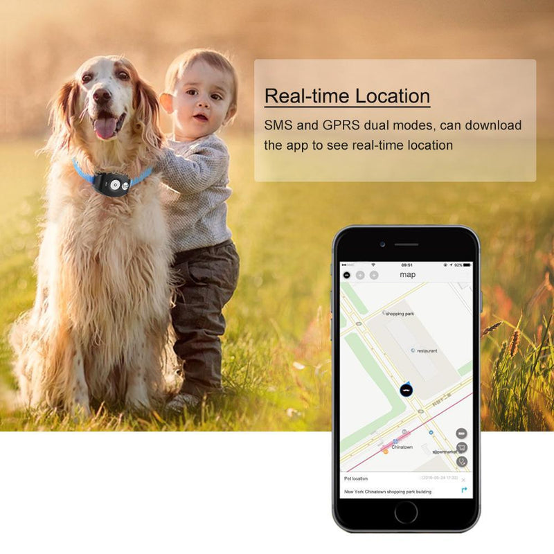 Smart Pet Coleira GPS KKMOON