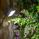 Projetor de Luz de Jardim à Energia Solar com Recarga USB
