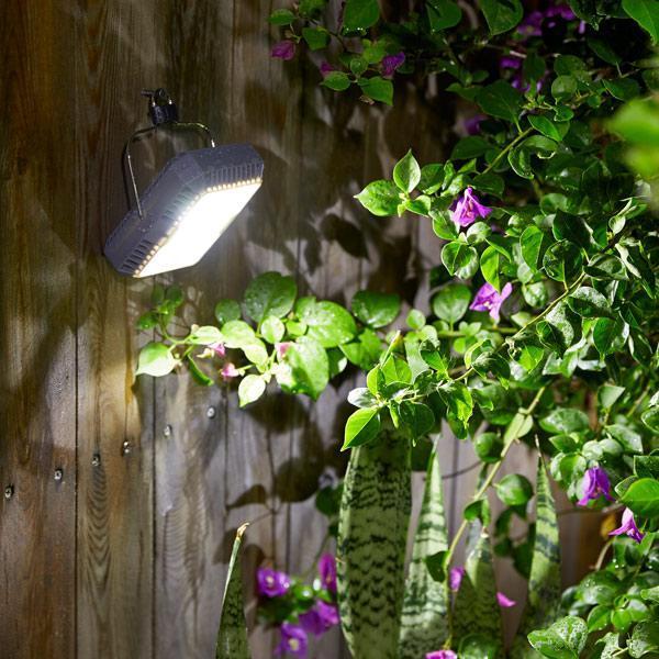 Projetor de Luz de Jardim à Energia Solar com Recarga USB