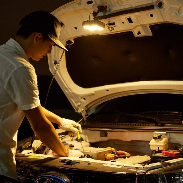 Projetor de Luz de Jardim à Energia Solar com Recarga USB