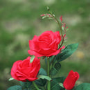 Galho com 3 Rosas Iluminadas com LED Solar à Prova D'àgua