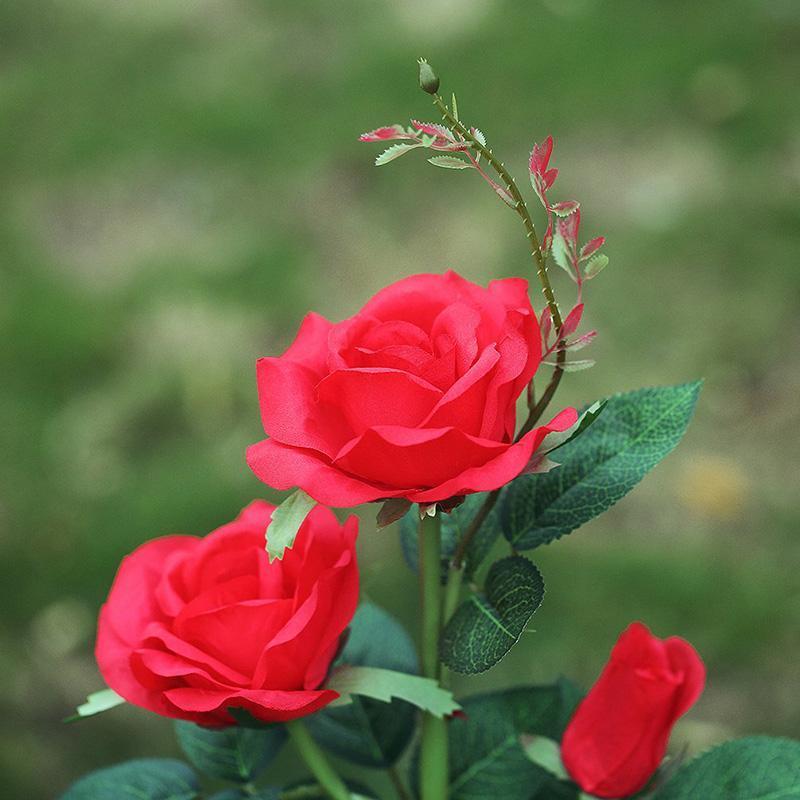 Galho com 3 Rosas Iluminadas com LED Solar à Prova D'àgua