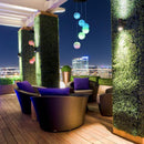 Luzes Dente-de-Leão à Energia Solar