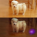 Lanterna Roxa Útil de LED UV - Purple Light