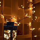 Videira de LED - LuminarVida