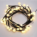 Videira de LED - LuminarVida