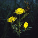 Galho com 3 Rosas Iluminadas com LED Solar à Prova D'àgua